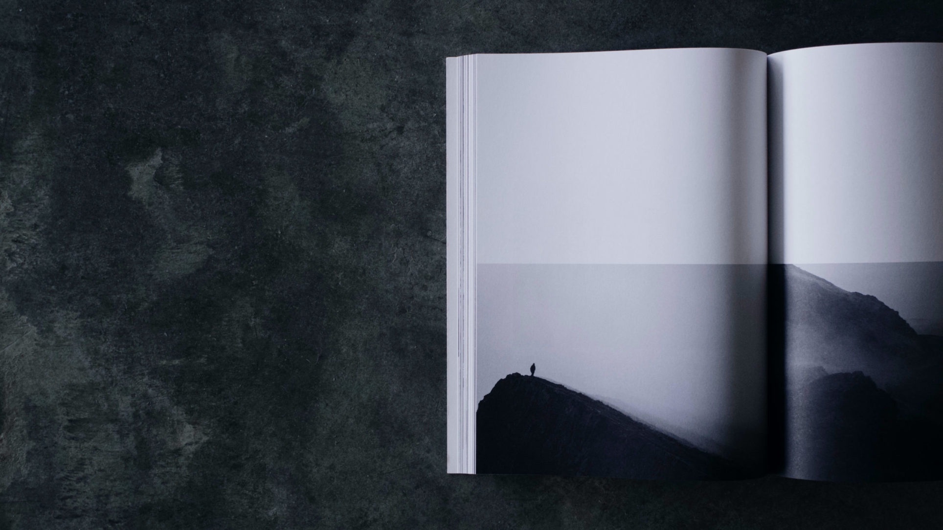 veebilehtede disain ja arendus